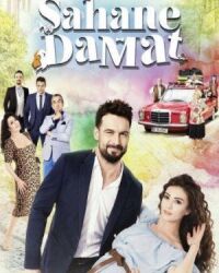 Постер к фильму Замечательный зять (2016) смотреть онлайн на киного