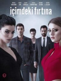 Постер к фильму Буря внутри меня (2017) смотреть онлайн на киного