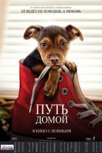 Постер к фильму Путь домой смотреть онлайн на киного