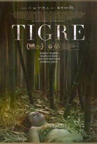 Постер к фильму Тигр смотреть онлайн на киного