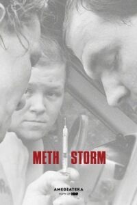 Постер к фильму Метамфетаминовый шторм (2017) смотреть онлайн на киного