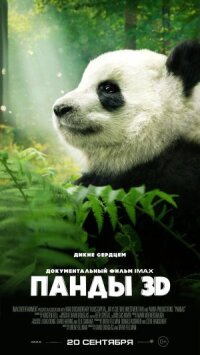 Постер к фильму Панды 3D смотреть онлайн на киного