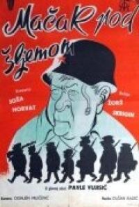 Постер к фильму Кот под шлемом смотреть онлайн на киного