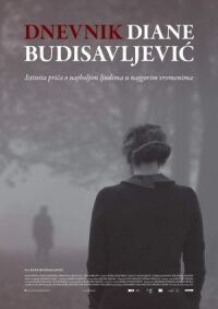 Постер к фильму Дневник Дианы Будисавлевич смотреть онлайн на киного