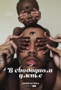 Постер к фильму В свободном улете смотреть онлайн на киного