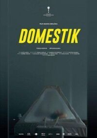 Постер к фильму Домашний режим (2018) смотреть онлайн на киного