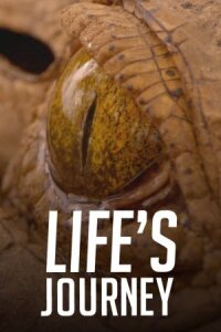 Постер к фильму Life's Journey смотреть онлайн на киного
