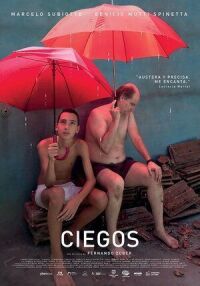 Постер к фильму Слепой (2019) смотреть онлайн на киного