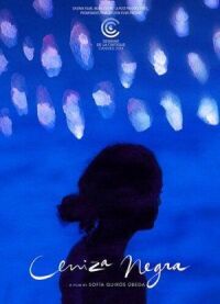 Постер к фильму Страна пепла (2019) смотреть онлайн на киного