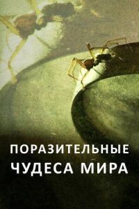 Постер к фильму Поразительные чудеса мира смотреть онлайн на киного