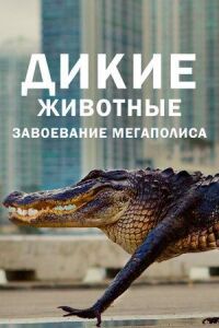 Постер к фильму Дикие животные: Завоевание мегаполиса смотреть онлайн на киного