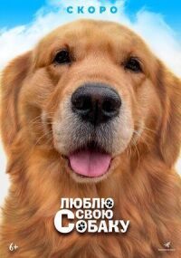 Постер к фильму Люблю свою собаку смотреть онлайн на киного