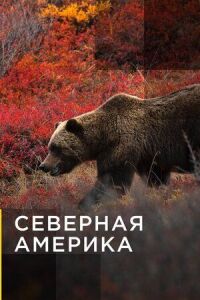 Постер к фильму Северная Америка смотреть онлайн на киного