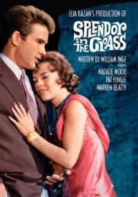 Постер к фильму Великолепие в траве (1961) смотреть онлайн на киного