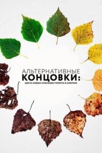 Постер к фильму Альтернативные концовки: Шесть новых способов умереть в Америке смотреть онлайн на киного