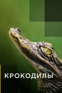 Постер к фильму Крокодилы смотреть онлайн на киного