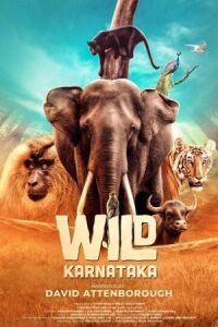Постер к фильму Дикая Карнатака (2020) смотреть онлайн на киного