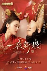 Постер к фильму Невеста на одну ночь (2019) смотреть онлайн на киного