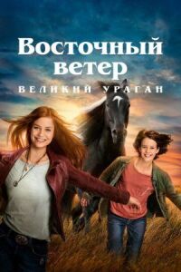 Постер к фильму Восточный ветер. Великий ураган смотреть онлайн на киного