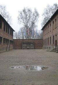 Постер к фильму Сделано в Освенциме: Нерассказанная история блока номер десять смотреть онлайн на киного