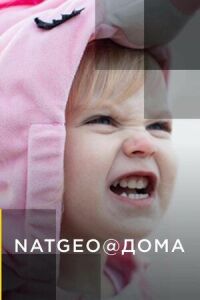 Постер к фильму NatGeo@Дома смотреть онлайн на киного