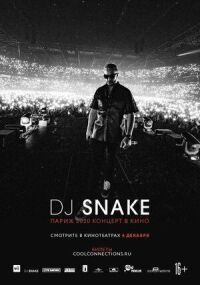 Постер к фильму DJ SNAKE: Париж 2020. Концерт в кино смотреть онлайн на киного
