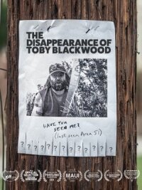 Постер к фильму The Disappearance of Toby Blackwood смотреть онлайн на киного