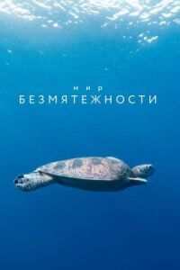 Постер к фильму Мир безмятежности смотреть онлайн на киного
