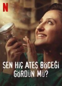 Постер к фильму Вы когда-нибудь видели светлячков? смотреть онлайн на киного