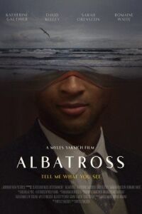 Постер к фильму Альбатрос смотреть онлайн на киного