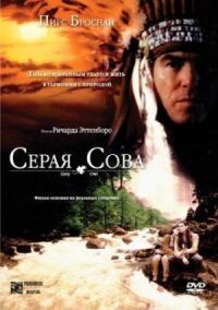 Постер к фильму Серая сова (1998) смотреть онлайн на киного
