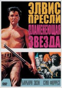 Постер к фильму Пламенеющая звезда смотреть онлайн на киного