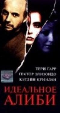 Постер к фильму Идеальное алиби смотреть онлайн на киного
