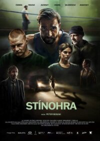 Постер к фильму Игра теней смотреть онлайн на киного