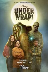 Постер к фильму В тайне (2021) смотреть онлайн на киного