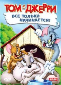 Постер к фильму Кот играет в боулинг смотреть онлайн на киного