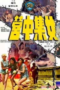 Постер к фильму Бамбуковый дом кукол (1973) смотреть онлайн на киного