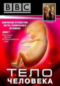 Постер к фильму BBC: Тело человека смотреть онлайн на киного