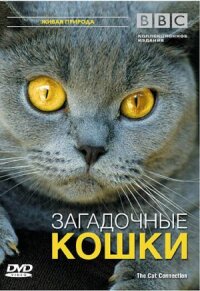 Постер к фильму BBC: Загадочные кошки смотреть онлайн на киного