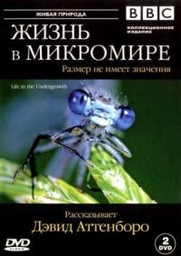 Постер к фильму BBC: Жизнь в микромире смотреть онлайн на киного