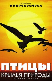 Постер к фильму Птицы: Крылья природы смотреть онлайн на киного