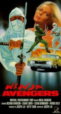 Постер к фильму Ниндзя-мстители смотреть онлайн на киного