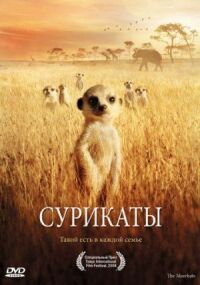 Постер к фильму Сурикаты смотреть онлайн на киного