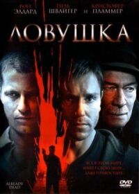 Постер к фильму Ловушка смотреть онлайн на киного