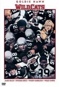 Постер к фильму Дикие кошки (1986) смотреть онлайн на киного