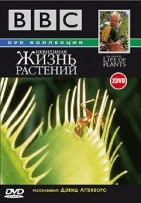 Постер к фильму BBC: Невидимая жизнь растений смотреть онлайн на киного