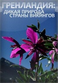Постер к фильму Гренландия: Дикая природа страны викингов смотреть онлайн на киного