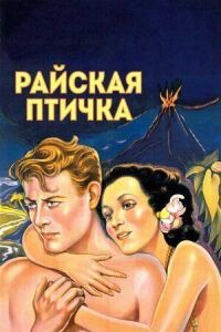 Постер к фильму Райская птичка смотреть онлайн на киного