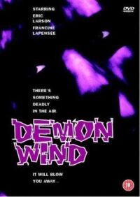 Постер к фильму Ветер демонов (1990) смотреть онлайн на киного