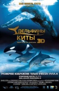 Постер к фильму Дельфины и киты 3D смотреть онлайн на киного